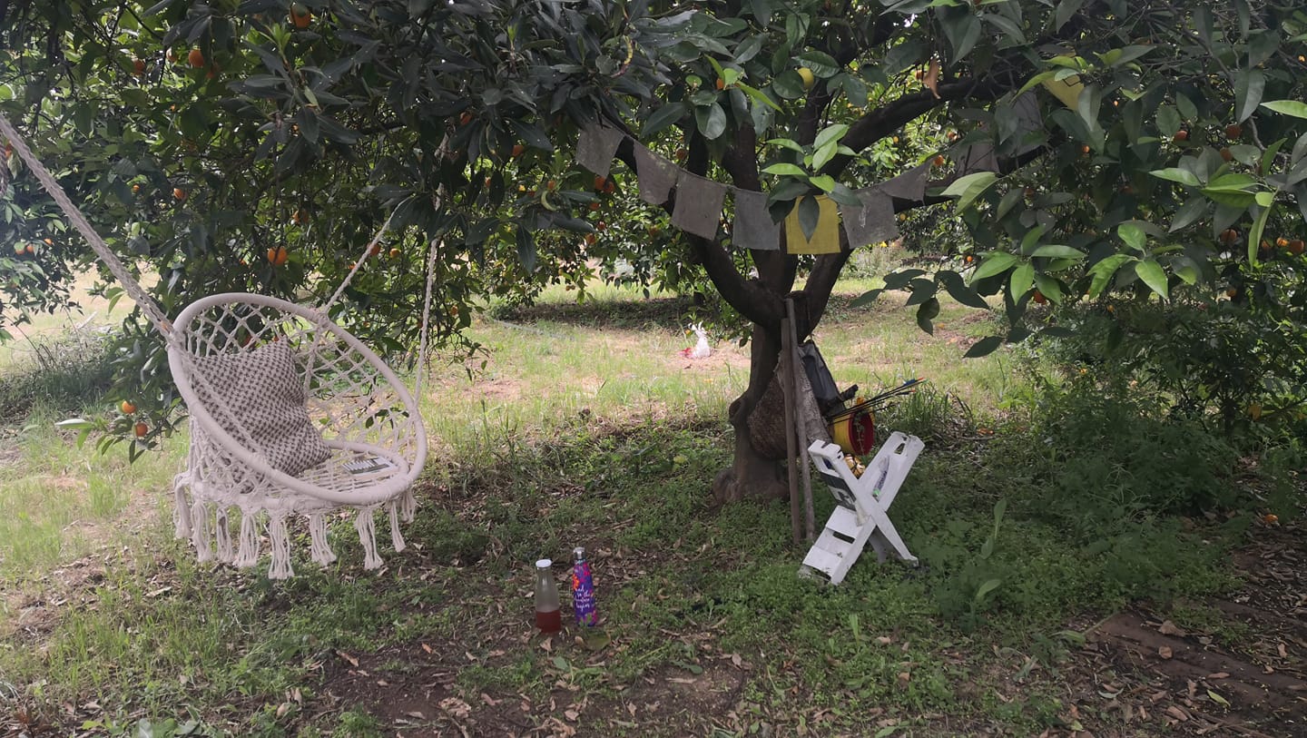 Rincones de La Tribu Ajena. El columpio de lectura